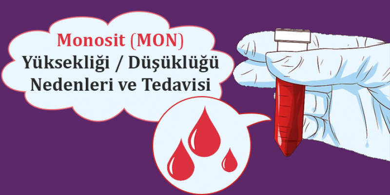 Hematokrit (Hct) düşüklüğü ve yüksekliği